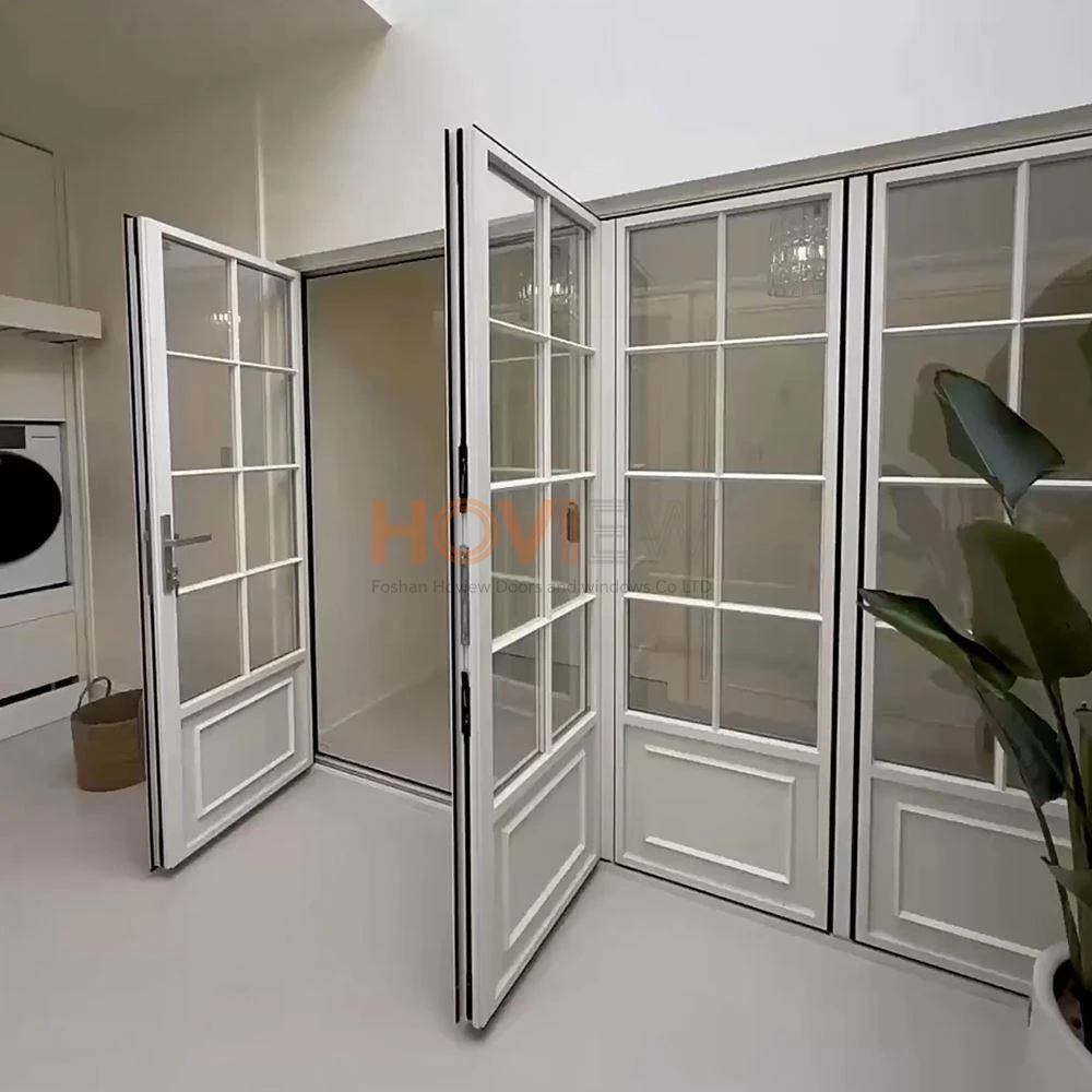 French Vintage Aluminium Door